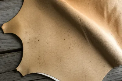 Illustration hides - Image 1