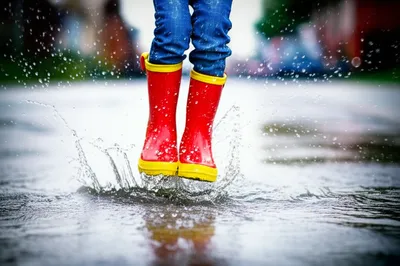 Illustration galoshes - Image 1