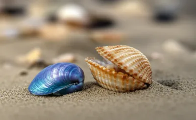 Illustration wink - Image 1