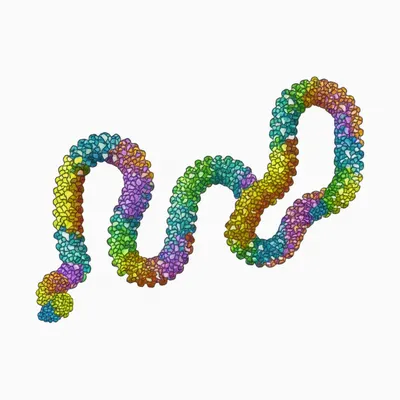 Illustration protein