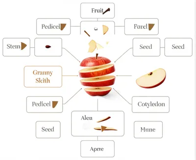 Illustration diffusing - Image 1