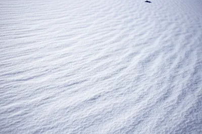 Illustration skiff - Image 1