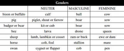 Illustration neuter - Image 2