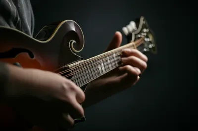 Illustration chucked - Image 1