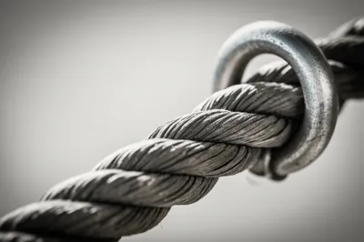 Illustration render - Image 1