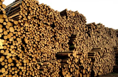 Illustration stockpile