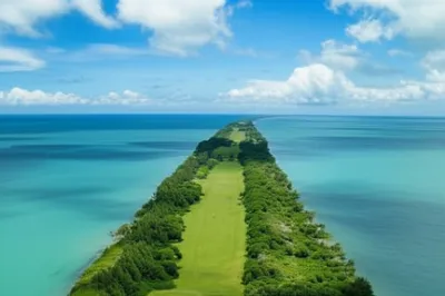 Illustration tong - Image 1