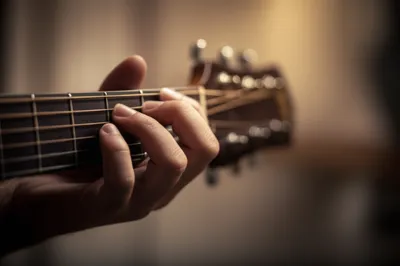 Illustration plucked - Image 1