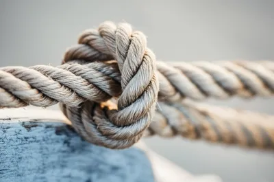 Illustration wall - Image 1