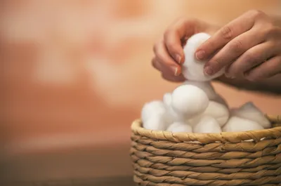 Illustration cotton - Image 1