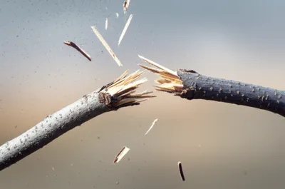 Illustration snap - Image 1