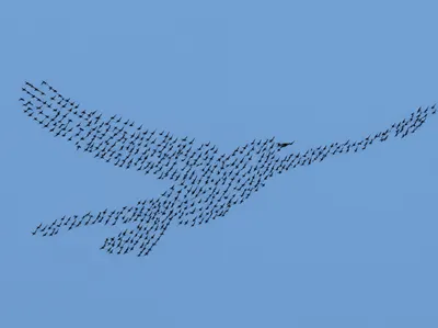 Illustration emergent - Image 1