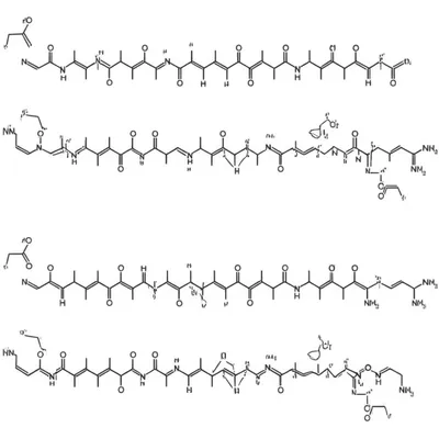 Illustration zipper - Image 1