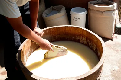 Illustration tawed - Image 1