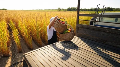 Illustration lands - Image 1