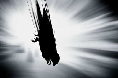 Illustration swoop - Image 1