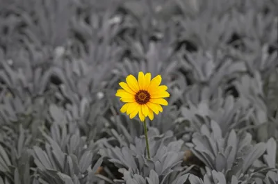 Illustration just - Image 1