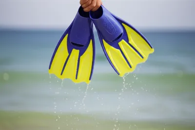 Illustration flippers - Image 1