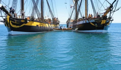 Illustration gam - Image 1