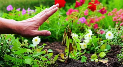 Illustration refuse - Image 1