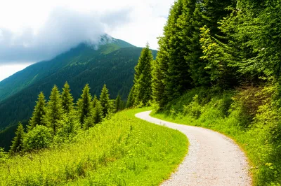 Illustration roads - Image 1