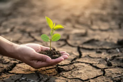 Illustration tender - Image 1