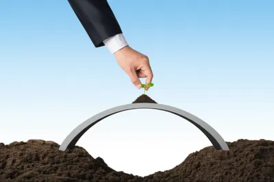 Illustration credit - Image 1