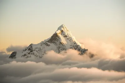 Illustration culmina - Image 1