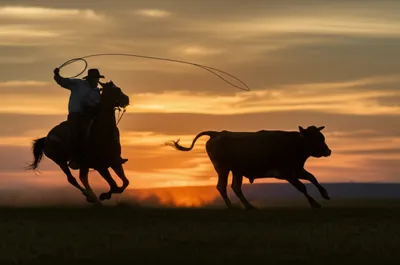 Illustration ropes - Image 1