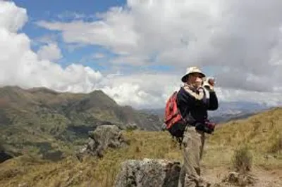 Illustration exploration - Image 2