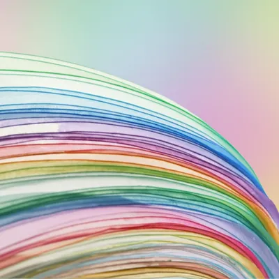 Illustration lamellae - Image 1