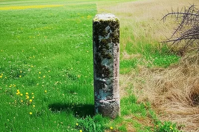 Illustration dole - Image 1