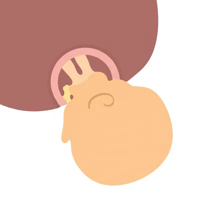 Illustration present - Image 1