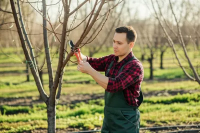 Illustration primer - Image 1