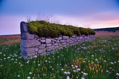 Illustration remains - Image 1