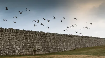 Illustration balks - Image 1