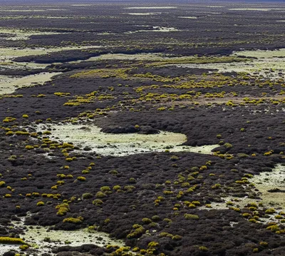 Illustration moor - Image 1