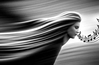 Illustration whistled - Image 1