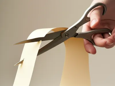 Illustration abbreviate - Image 1