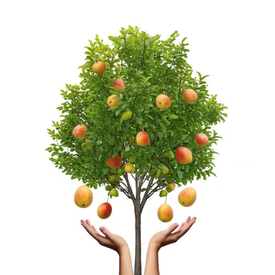 Illustration benefiting