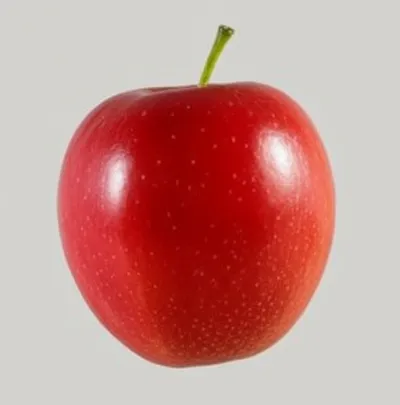 Illustration decomposed