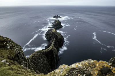 Illustration handle - Image 1