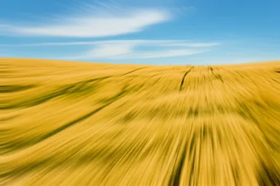 Illustration undulating - Image 1