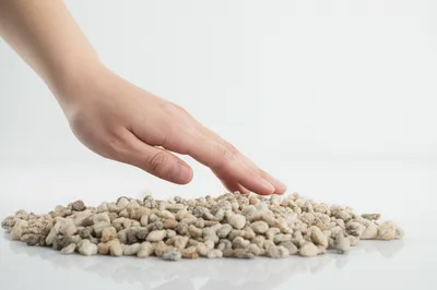 Illustration clear - Image 1