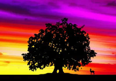 Illustration majesty - Image 1