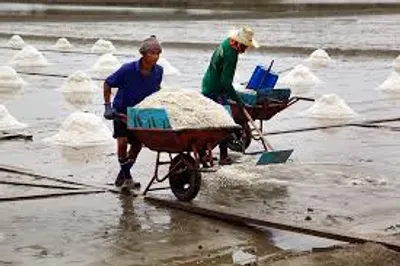 Illustration pan - Image 2