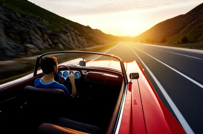 Illustration steers - Image 1