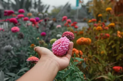 Illustration numbed - Image 1