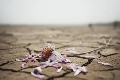 Illustration napoo - Image 1