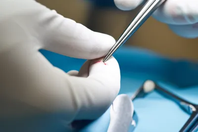 Illustration nicety - Image 1